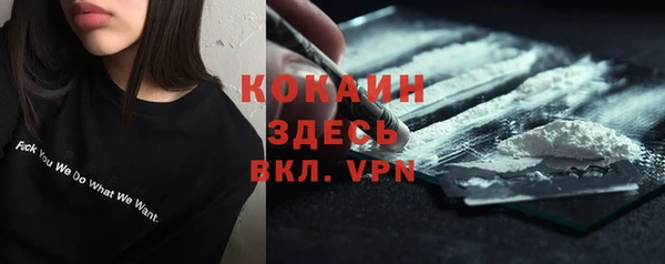 spice Алексин